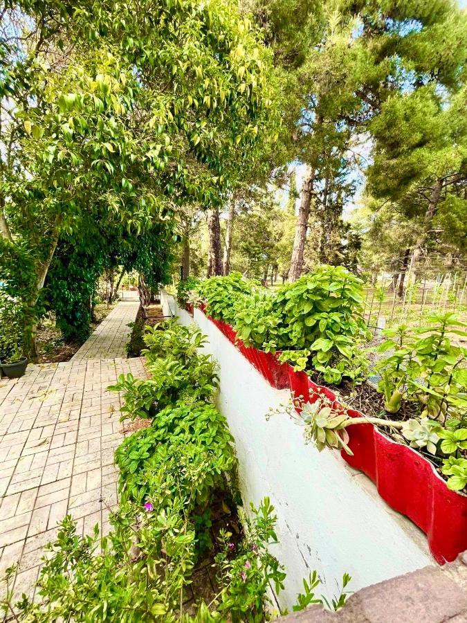 Villavictoria Marias View Pool Apartment Peraía エクステリア 写真