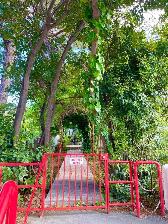 Villavictoria Marias View Pool Apartment Peraía エクステリア 写真