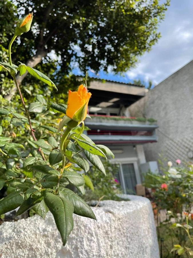 Villavictoria Marias View Pool Apartment Peraía エクステリア 写真