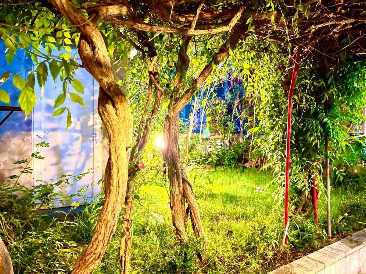 Villavictoria Marias View Pool Apartment Peraía エクステリア 写真